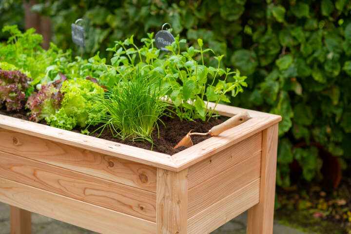 WESTMANN Hochbeet Emily